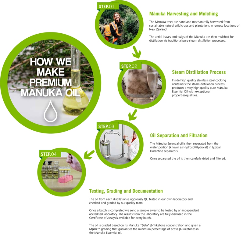 Bioactives_Flowchart - Copy.jpg