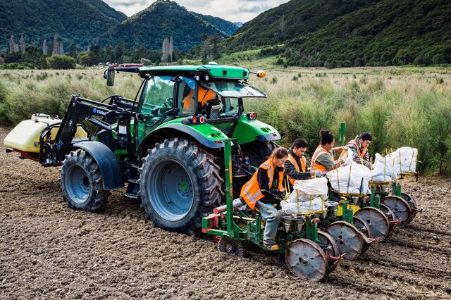 NZ Mānuka Group top of the planting leader board for 2019
