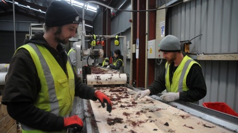 Dominion Post: 16 August, 2016 - Scientific Seaweed Changing Lives in Wairarapa