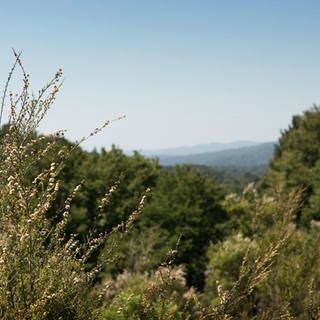 Complete & Sustainable Use of Our Valued Resources