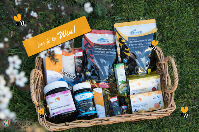 Bee Aware Month - Bee Selfie Competition