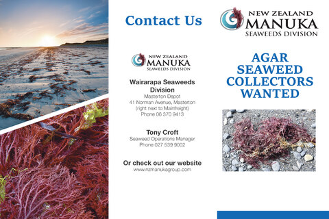 Agar Seaweed Collectors Wanted Flyer