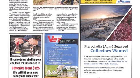 Wairarapa News: June 2016 - Seaweed the New Cash Cow...