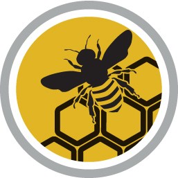 New Bee Nutrition Solution Keeps Bees Humming