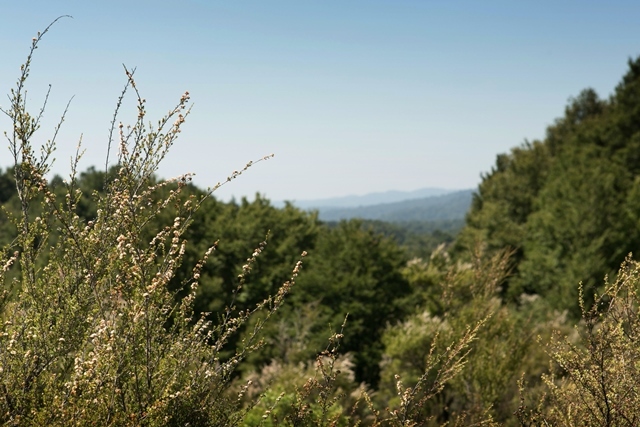 Complete & Sustainable Use of Our Valued Resources