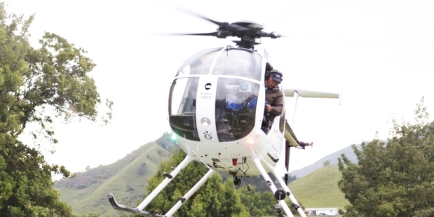 Mānuka planting programme key to success