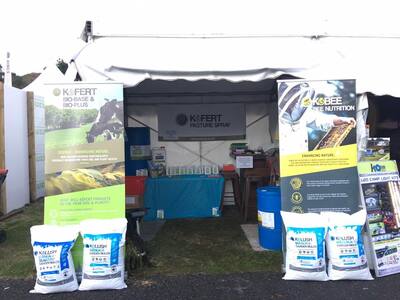 FIELDAYS 2017.jpg
