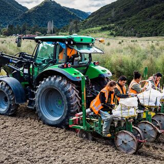 NZ Mānuka Group top of the planting leader board for 2019