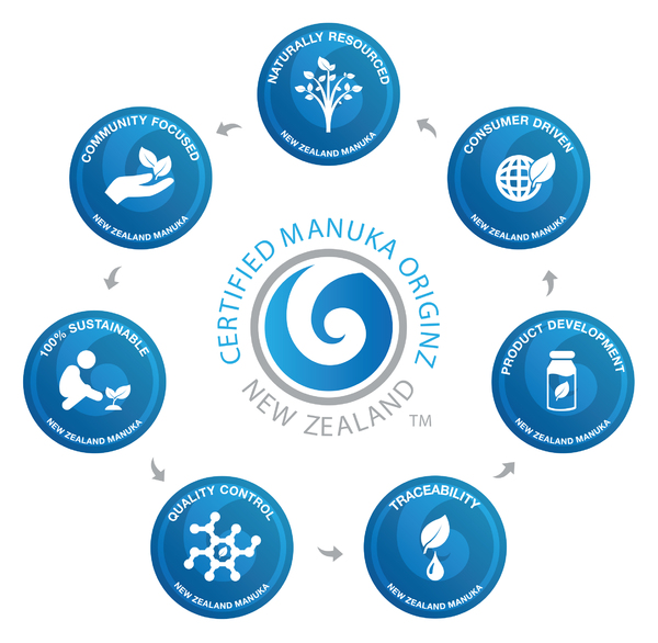 NZML_Originz Diagram.jpg