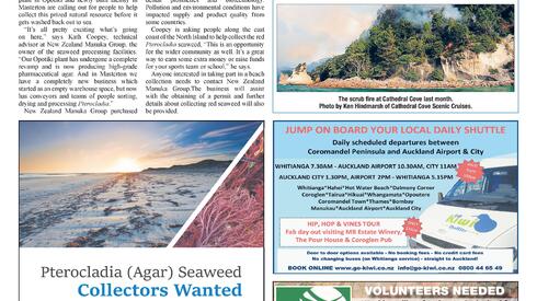 The Informer: 8 June, 2016 - Collect Seaweed and Earn Money