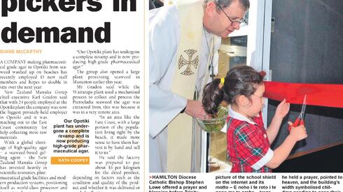 Opotiki News: 7 June, 2016 - Red-Weed Pickers in Demand